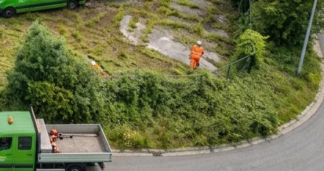 Bestelwagen, aanhangwagens en ploeg van De Ronny op het terrein